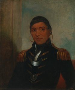 Gran Búfalo (Chippewa) de Henry Inman