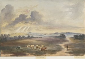 Cannock Chase - "Heath": pintura en acuarela