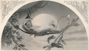 Ariel La Tempestad, c1870