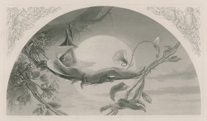 Ariel, La tempestad