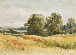 Campo de cosecha, c.1910 (acuarela sobre papel) de Henry John Sylvester Stannard
