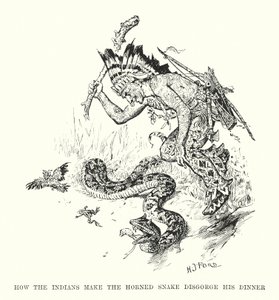 Cómo hacen los indios que la serpiente cornuda degüelle su cena (grabado) de Henry Justice Ford