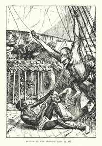 Terror del orangután en Sai (grabado) de Henry Justice Ford