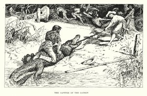 La captura del Caimán (grabado) de Henry Justice Ford
