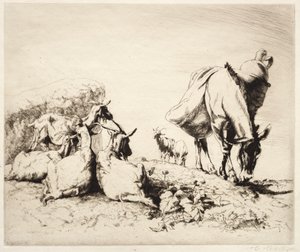 Un camino en España