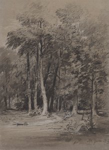 Una pista arbolada de Henry Monro