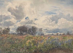 Junio lluvioso, Picardía de Henry Moore