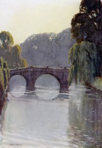 El río en Clare de Henry Morley