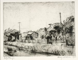 Jardines comunitarios junto al canal