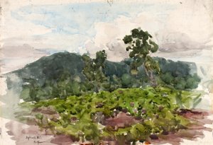 Tierras altas, N.C., 1889