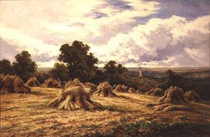 Campo cosechado de Henry Parker