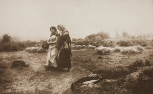 Villancicos