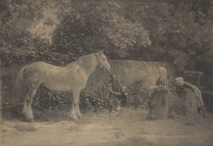 [Old Dapple]