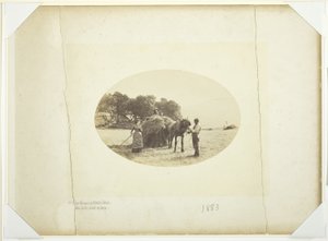 En las laderas de Cader-Idris, La última carga de heno de Henry Peach Robinson