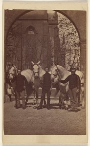 [Tres hombres posando con tres caballos blancos] de Henry Pointer