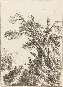 Paisaje con árboles viejos junto al agua de Henry Richard Greville, 3rd earl of Warwick