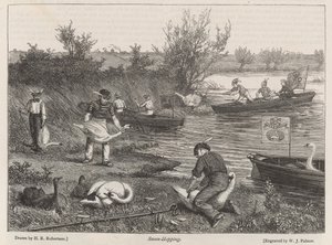 Cisnes saltando de Henry Robert Robertson