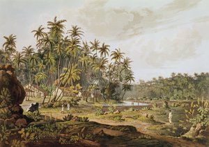 Vista cerca de Point du Galle, Ceilán, grabado por Daniel Havell (1785-1826) publicado en 1809 de Henry Salt