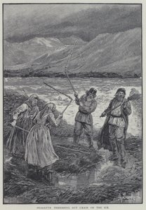 Campesinos trillando grano en el hielo