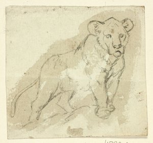 Cinco bocetos de leones: Cachorro de pie de Henry Stacy Marks