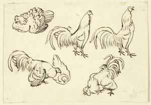 Bocetos de aves de corral de Henry Stacy Marks