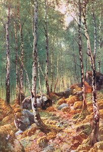  de Henry Sutton Palmer