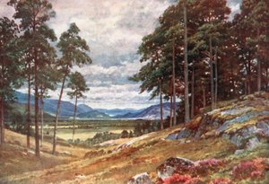  de Henry Sutton Palmer