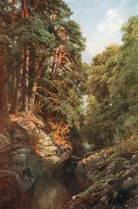  de Henry Sutton Palmer