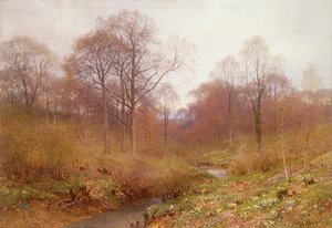 Un río arbolado, Paisaje Otoño (acuarela)