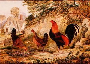 Gallo, Gallinas y Pollitos de Henry Thomas Alken