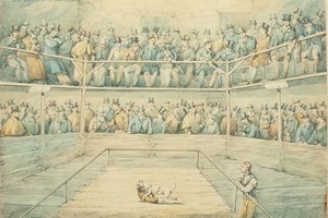Pelea de perros en el Westminster Pitt de Henry Thomas Alken