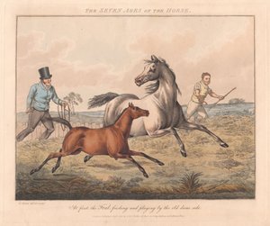  de Henry Thomas Alken