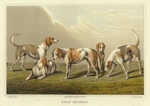 Perros de caza (cromolitografía)