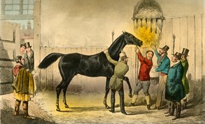 El Barón moja su húmedo, 1838 de Henry Thomas Alken