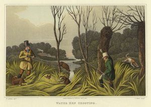 Caza de Gallineta de Agua de Henry Thomas Alken