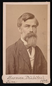 Retrato de Herman Henry Diebitsch 1818-1883, 1871 de Henry Ulke