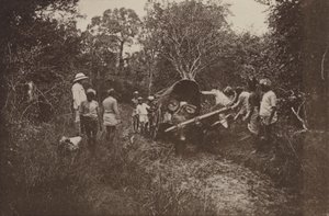 Ciudades en ruinas de Ceilán: En ruta hacia Polonnaruwa (foto en blanco y negro) de Henry W. Cave