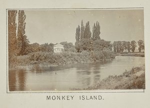 La isla de los monos