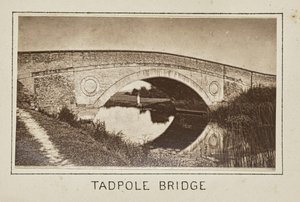 Puente de los Renacuajos de Henry W. Taunt