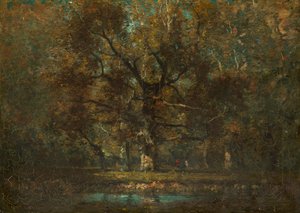 Roble de Henry Ward Ranger