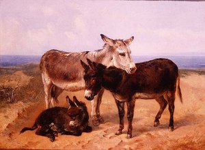 Asnos en la arena de Henry Weekes