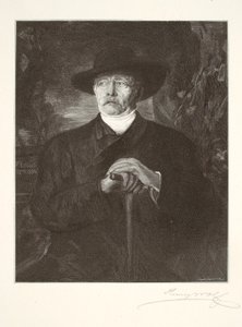 Bismarck de Henry Wolf