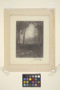 En los Adirondacks (tinta) de Henry Wolf