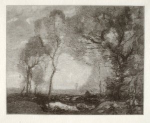 Paisaje de Henry Wolf
