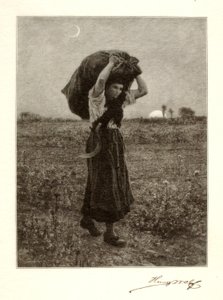 Le Soir de Henry Wolf