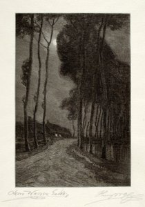 Luz de luna en Holanda de Henry Wolf