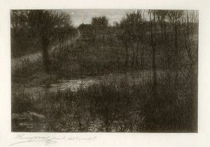 La estrella vespertina (motivo encontrado en las Catskills) de Henry Wolf