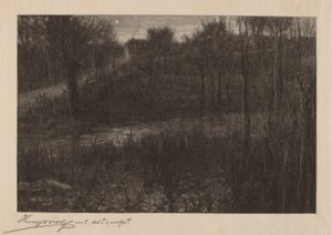 La estrella vespertina de Henry Wolf