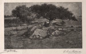 El borde del camino