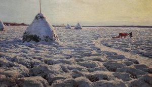 Pantanos lituanos bajo la nieve.